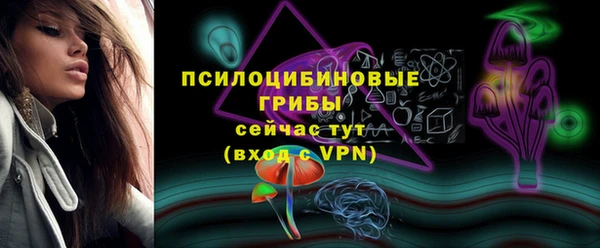 гашик Алексин
