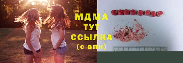 гашик Алексин