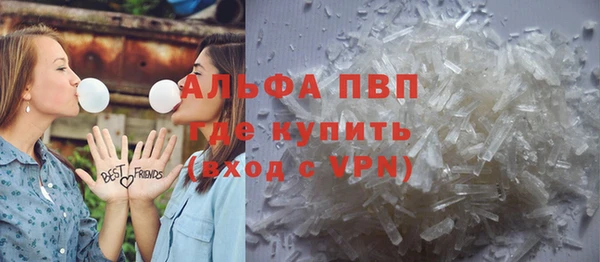гашик Алексин