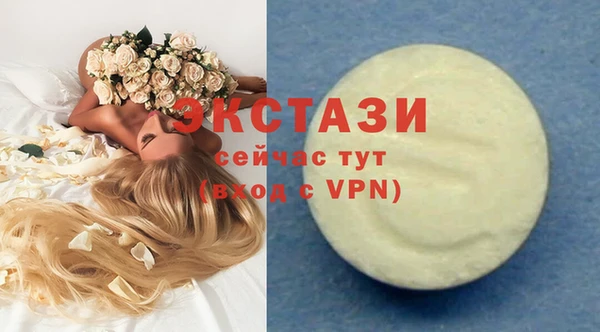 гашик Алексин