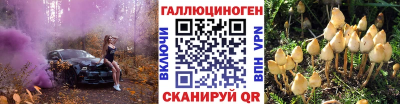 нарко площадка клад  мега маркетплейс  Тосно  Галлюциногенные грибы Psilocybe 